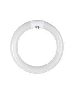 TUBO FLUORESCENTE CIRCULAR 22W.29MM