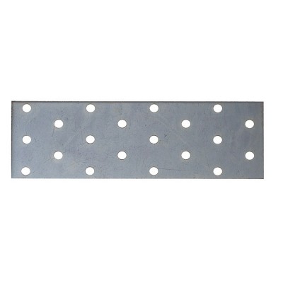 PLACA RECT. PESANTE PERF.50x120 mm.50