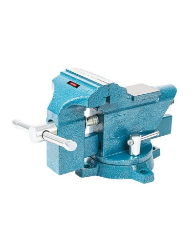 TORNILLO BANCO 100MM.RATIO