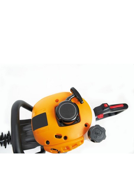 CORTASETOS 25 CC. ESPADA 55 CM.