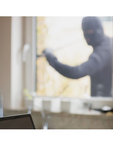 ALARMA PARA VENTANAS. DISPLAY EXPOSITOR