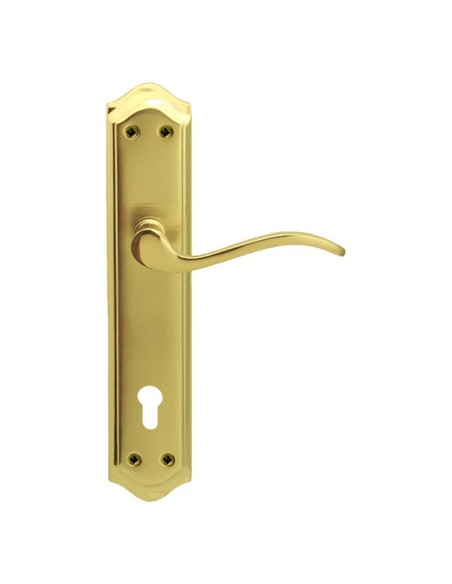 MANILLA C/ PLACA.LAT.BOCALL. 85. 49xh256