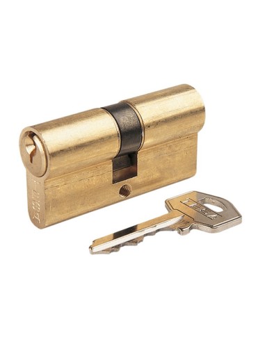 CILINDRO CENT.2030-2031. LAT. 70 MM.TESA