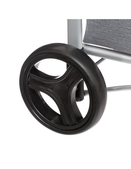 CARRO COMPRA ISOTERMICO 2 RUEDAS GRIS