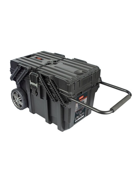 CARRO HORIZONTAL RATIO 64.6X37.3X41CM.