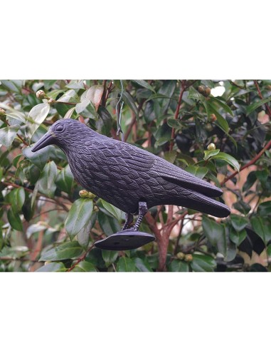 CUERVO SEÑUELO ESPANTAPÁJ. 33X20X12 CM