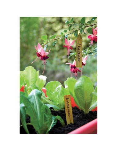 ETIQUETAS MADERA PARA SEMLLERO. 15 UDS