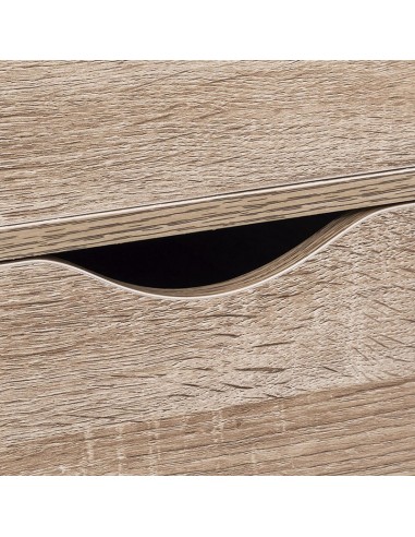 CAJONERA AUX. 6 CAJONES 38X33XH.100 CM.