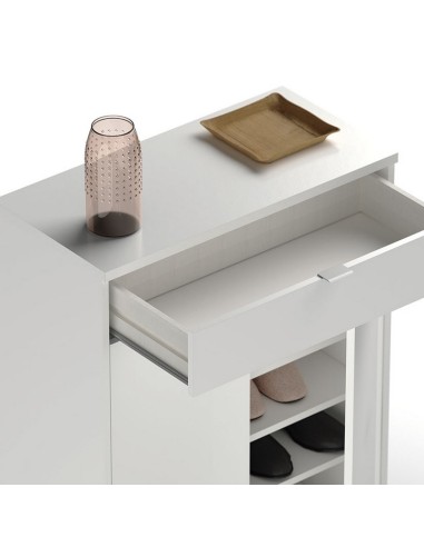 ZAPATERO 2 PTAS.BERLIN CAJON 75X36X101CM