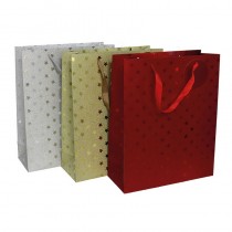 BOLSA REGALO 42X30X12CM. 3...