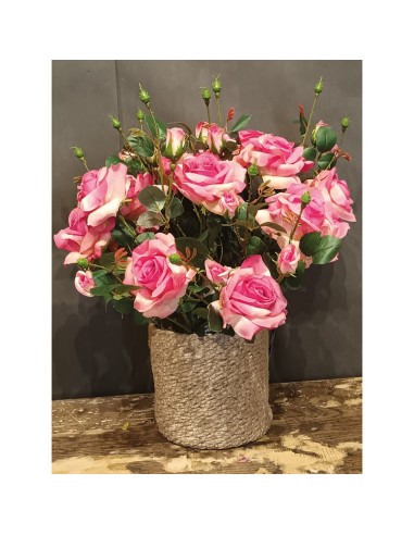 VARA ROSA ALICIA FUCSIA