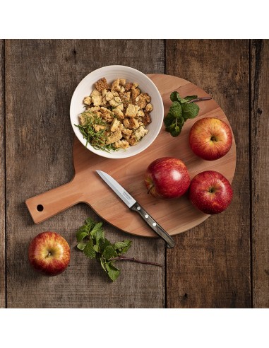 CUCHILLO FRUTAS/LEGUMBRES 9,5CM POLYWOOD