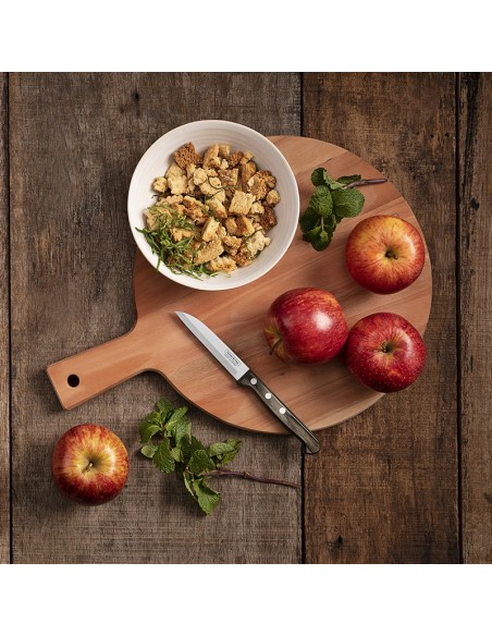 CUCHILLO FRUTAS/LEGUMBRES 9,5CM POLYWOOD