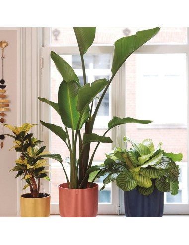 CUBRE MACETAS VIVES FOLD Ø 18 CM. AZUL