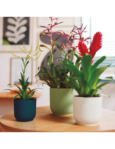 CUBRE MACETAS VIVES FOLD Ø 18 CM. VERDE