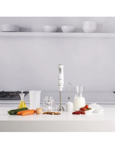 BATIDORA TAURUS BAPI 750 PURE PLUS INOX