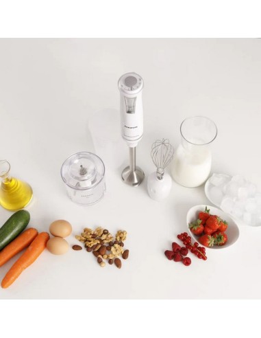 BATIDORA TAURUS BAPI 750 PURE PLUS INOX