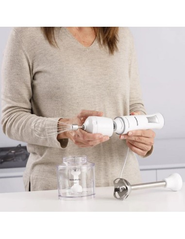 BATIDORA TAURUS BAPI 750 PURE PLUS INOX