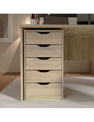 CAJONERA 5 CAJONES EKO 71X40X43 CM.CAMBR