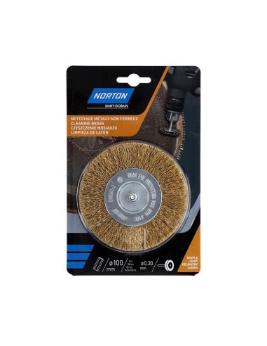 CEPILLO CIRCULAR ALAMB.OND.LAT.100 EJE 6