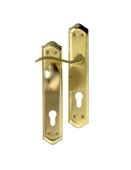 MANILLA IZQ + POMO MOVI L C/B YAL85 PULI