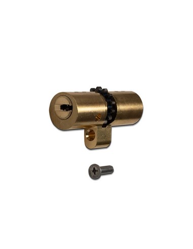 CILINDRO S.T.S. ARCU 65mm FRON. DORADO