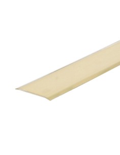 PLETINA 2 PEST. ADHES.40 MM LATONADA.EHL 2