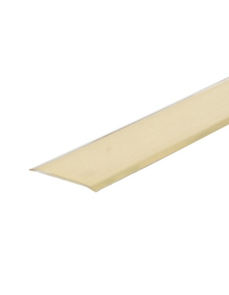 PLETINA 2 PEST. ADHES.40 MM LATONADA.EHL