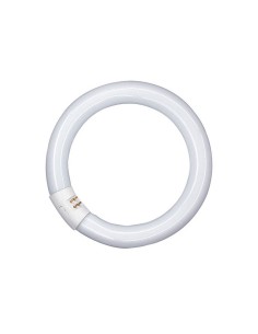 FLUORESCENTE CIRCULAR T9 22W/865 12 UNID