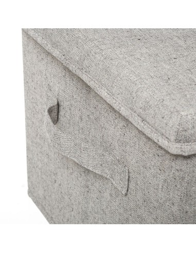 CAJA ALMACENAJE C/TAPA ORGA 35x31,5x25