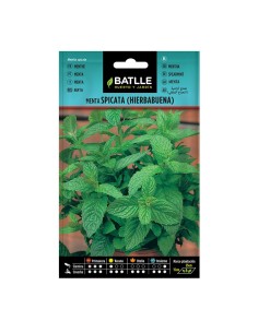 SEMILLAS MENTA SPICATA 10 BOL