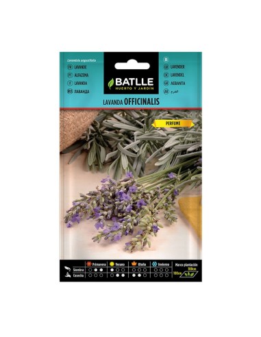 SEMILLAS LAVANDA OFFICINALIS 10 BOL