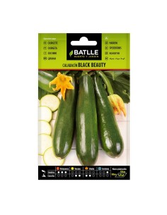 SEMILLAS CALABACIN BLACK BEAUTY 10 BOL