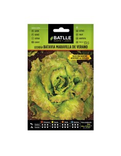 SEMILLAS LECHUGA MARV. VERANO  10 BOL