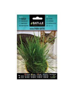 SEMILLAS HIERBA PARA GATOS 10 BOL