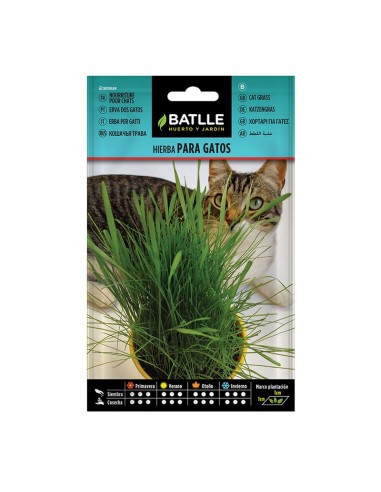 SEMILLAS HIERBA PARA GATOS 10 BOL