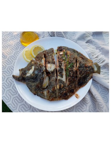 PARRILLA RODABALLO INOXIDABLE