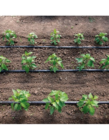 CINTA PLANA Ø 16 MM-150m