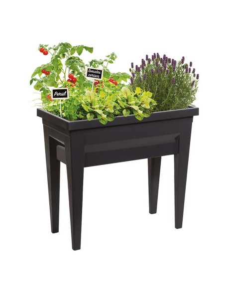 HUERTO URBANO VEG&TABLE CITY ANTRACITA