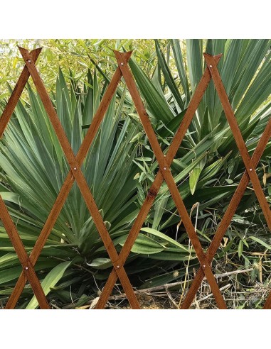 CELOSIA MADERA TINTADA EXTENSIBLE 60x180