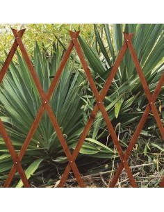 CELOSIA MADERA TINTADA EXTENSIBLE 90x180 2