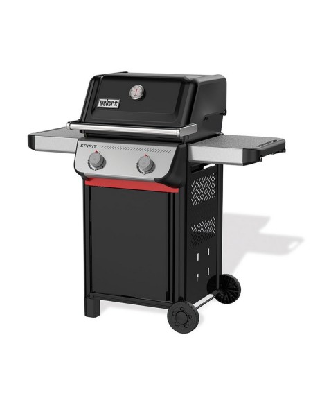 BARBACOA SPIRIT E-210