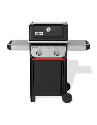 BARBACOA SPIRIT E-210