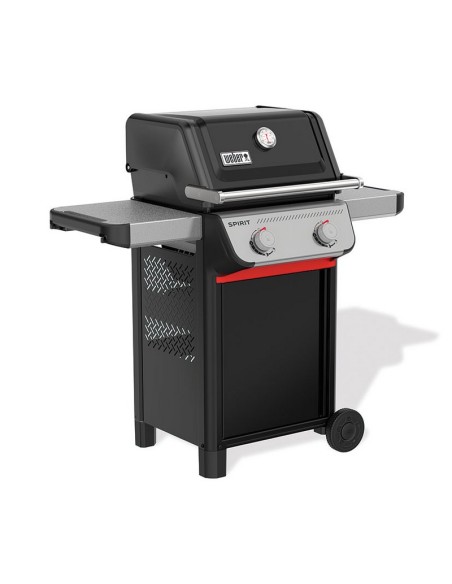 BARBACOA SPIRIT E-210
