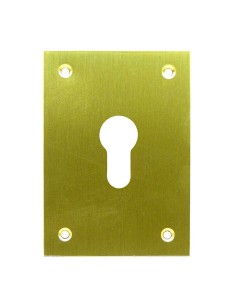 PLACA TROQUEL LAT.PUL 70X100