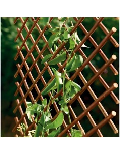 CELOSIA EXTENSIBLE DE MIMBRE  0,5 X1,5 M