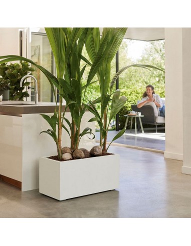 JARDINERA RECTANGULAR 80X40 CM. BLANCO
