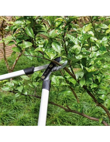 TIJERA PODAD.2 MANGOS BYPASS 71CM.