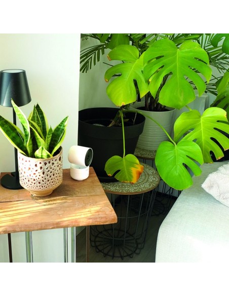 CÁMARA WIFI MOTORIZADA 4MP SENTINEL PRO