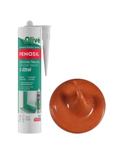 SILICONA NEUTRA C-22 MARRON R8004 300ML